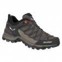 Salewa Mtn Trainer Lite GTX W 61362-7517 trekking shoes (EU 40)