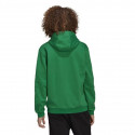 adidas sweatshirt Entrada 22 Sweat Hoodie M HI2141 S