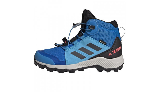 Adidas Terrex Mid Gtx K Jr GY7682 shoes (38)