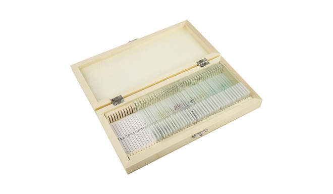 Prepared slide set, 40 slides in a wooden box, Omegon