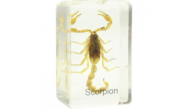 Valmistatud slaid - skorpion, Omegon