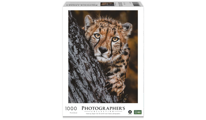 Ambassador Cheetah 1000 Pieces (Donal Boyd)