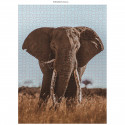 Ambassador Wildlife Eye Contact 3x 1000 Pieces (Donal Boyd)