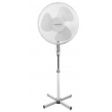 Pedestal fan EHF001WW