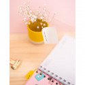 Pusheen - Planner 2019/2020 (15.5 x 19 cm)