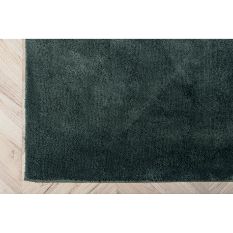 Vaip Undra 200x300 cm, roheline