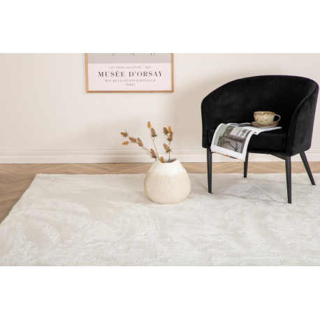 Vaip Blanca 230x160 cm, valge