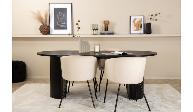 Söögitoa komplekt Bianca&Berit 4 tooli