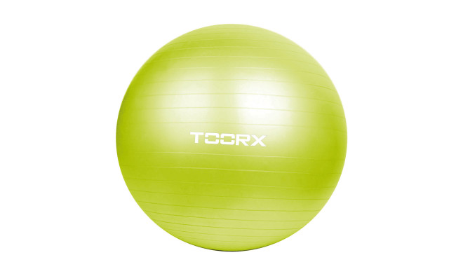 Toorx Гимнастический мяч AHF-012 D65cm with pump