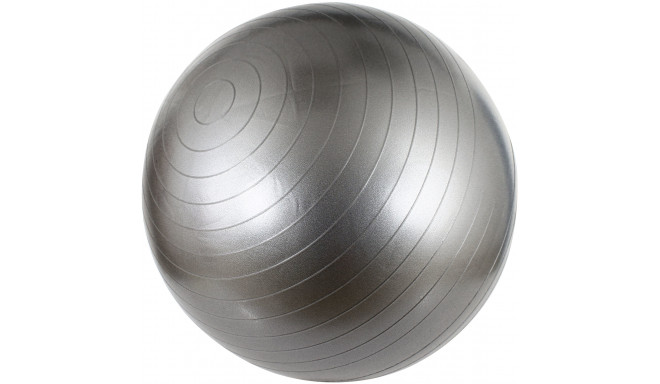 Гимнастический мяч AVENTO 42OB 65cm Silver