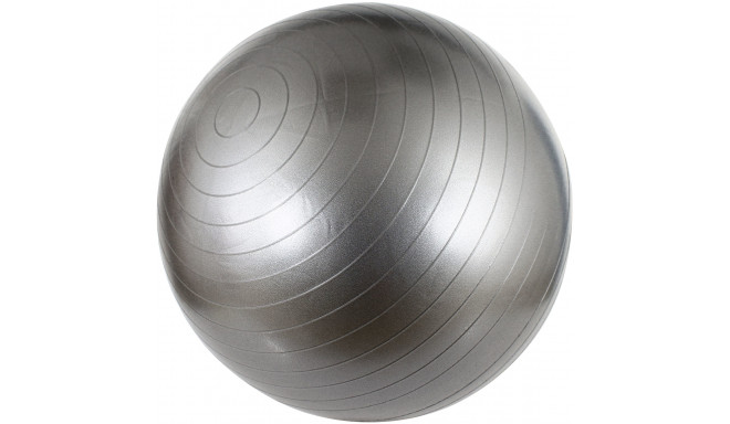 Gym Ball AVENTO 42OB 65cm Silver