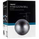 Gym Ball AVENTO 42OB 65cm Silver