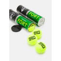 Tennis balls Dunlop FORT ALL COURT TS Premium 4-tin ITF