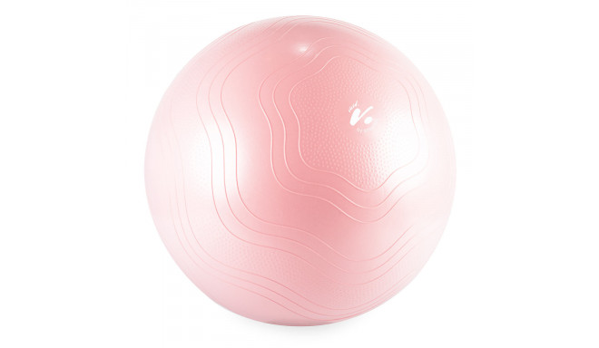 Gym Ball GYMSTICK Vivid line 61334-65 65cm Pink with pump