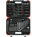Gedore Red Torx screwing tool set, 1/4 "+ 1/2", 75-Piece Tool Set (red / black, in case)
