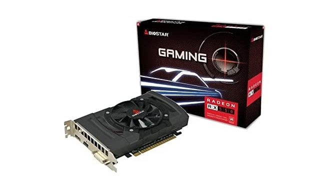 Biostar 4GB D5 RX 550