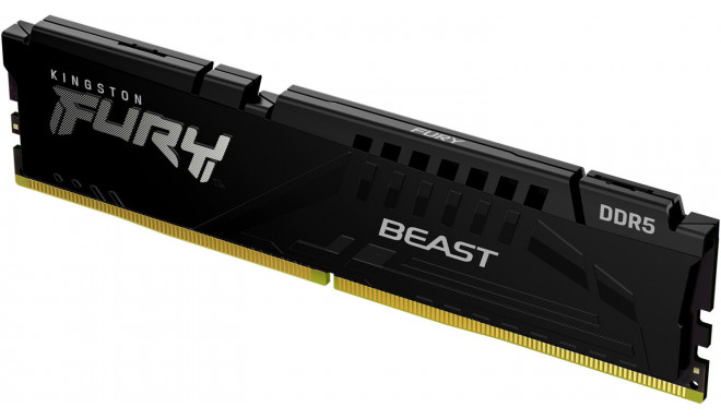 Kingston DDR5 - 8GB - 5200 - CL - 40 Beast - Single