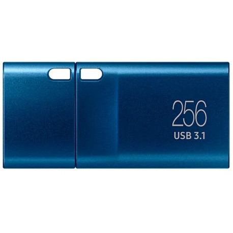 Type-C 256 GB (sinine, USB-C 3.2 Gen 1)