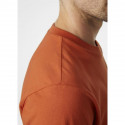 Helly Hansen Box TM T-shirt 53285 179 (M)