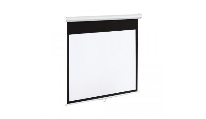 ART Display Electric EM-100 4:3 100'' 203x152cm matte white with remote control