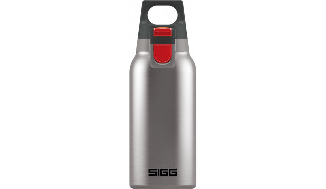 SIGG Thermo H&C One Brushed 0.3l grey - 8581.70