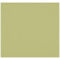 Westcott X Drop Pro Kreukbestendige Achtergrond   Mos Groen (2.4 x 2.4 m)