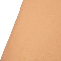 Westcott X Drop Wrinkle Resistant Backdrop   Bruine Suiker Sweep (5' x 12')