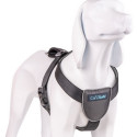 Dog Harness Company of Animals CarSafe Black XS