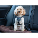 Dog Harness Company of Animals CarSafe Black XS