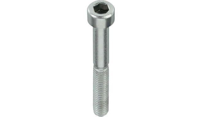 BOLT (DIN912 M6X30 ZN) 20PCS