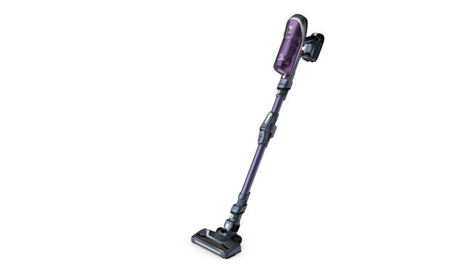 Rowenta RH 9639 X-Force 8.60 Allergy+