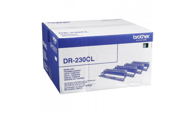 Trummel Brother DR230CL