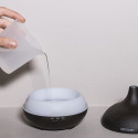 Niisutaja Cecotec Pure Aroma 150 7W (150 ml) - Must