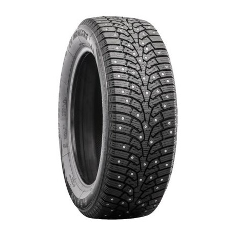 225/50R18 Nankang SW-9 naastrehv 99T XL