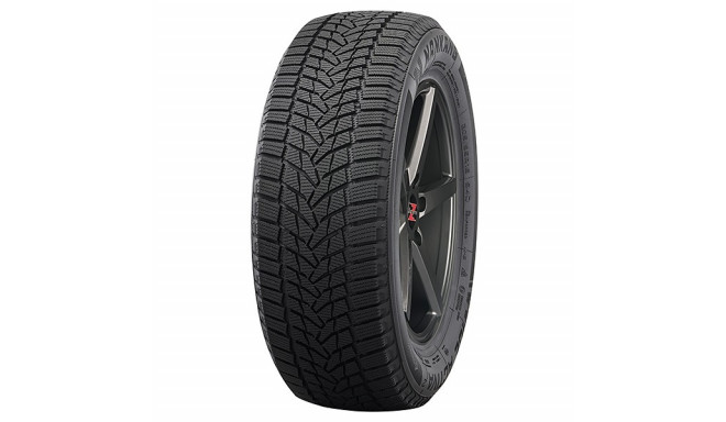 215/65R17 Nankang ICE-2 lamellrehv C/C/B 103T XL