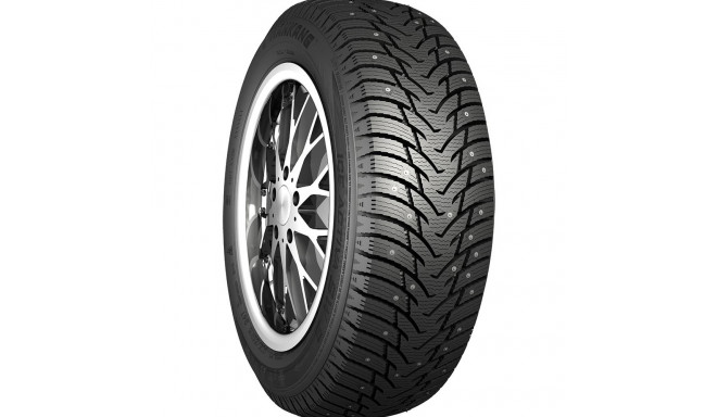 205/65R15 Nankang SW-8 naastrehv 99T XL