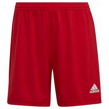 Shorts adidas Entrada 22 W HI0002 (S)
