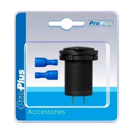 2xUSB pistik 2100mA süvistatav 12/24V