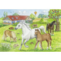 Ravensburger pusle 2x24 tk Hobused