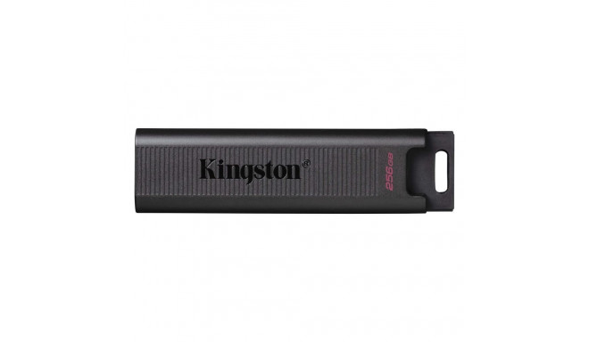 MEMORY DRIVE FLASH USB3.2/256GB DTMAX/256GB KINGSTON