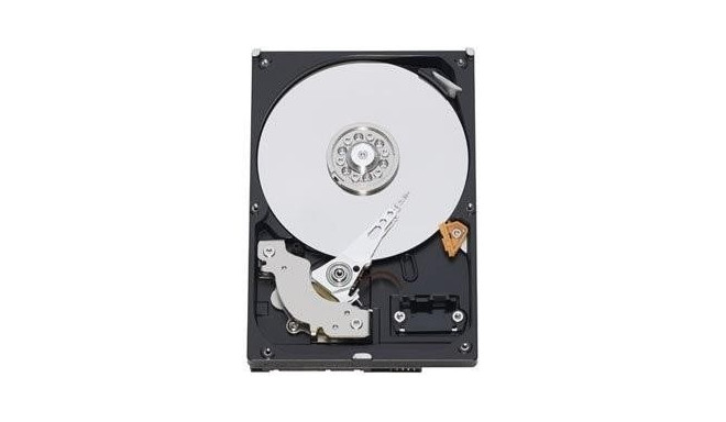 HDD|WESTERN DIGITAL|Blue|1TB|SATA 3.0|64 MB|7200 rpm|3,5"|WD10EZEX