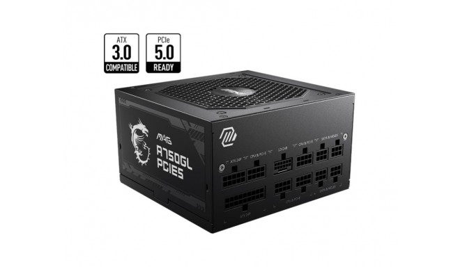 MSI PSU 750W 80 Plus Gold PFC Active MAGA750GLPCIE5