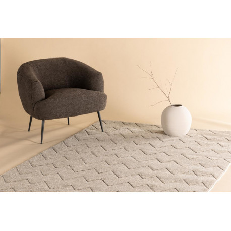 Vaip Fia 230x160 cm, pruun