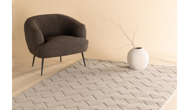 Vaip Fia 230x160 cm, pruun