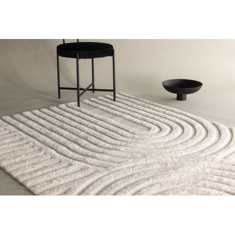 Vaip Nikita 290x200 cm, valge