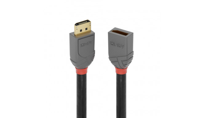 DisplayPort Kaabel LINDY 36496 1 m