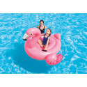 FLAMINGO RIDE-ON 57558NP