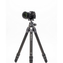 Benro tripod Tortoise 34C+GX35