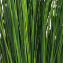 4Living Onion Grass 54 cm