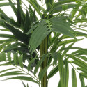 4Living Kentia palm tree 107 cm